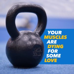 Fitbody Bootcamp